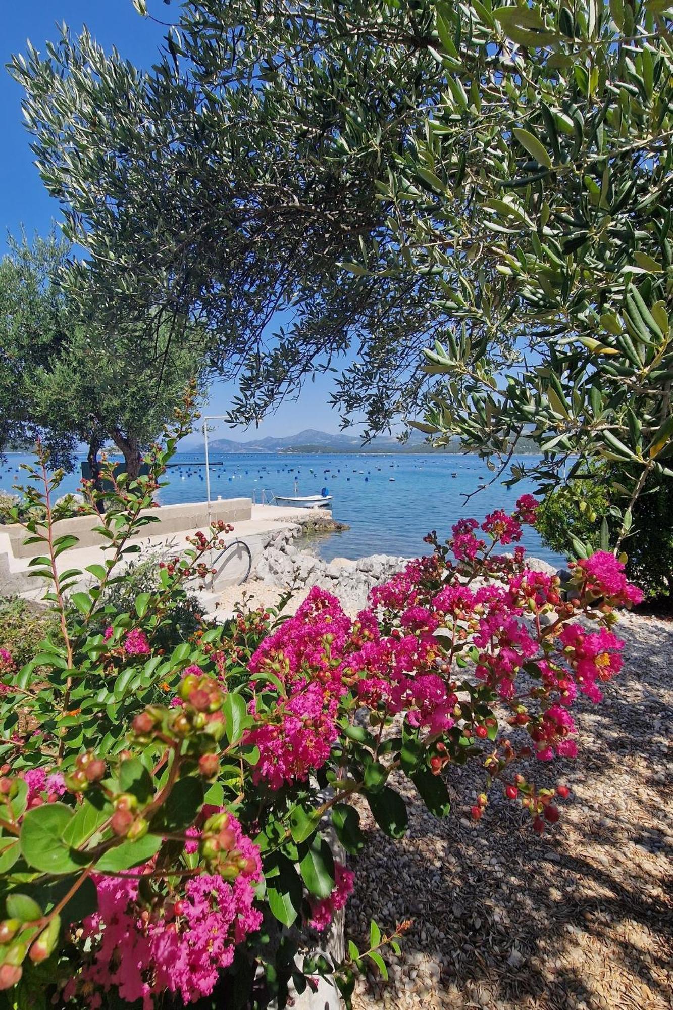 Apartments By The Sea Zuronja, Peljesac - 13202 Putniković Buitenkant foto